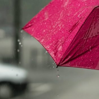 AI in Manufacturing: <br>Do Umbrellas Cause Car Accidents?