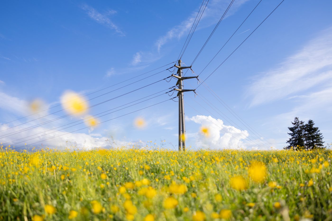 Groupe E Extends Partnership with <br> Cosmo Tech to Bring <br> Enterprise-Wide Asset Investment Planning